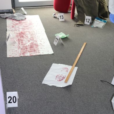 tsaSixthForensics6)