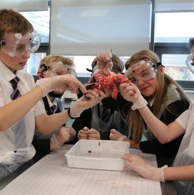 tsaScienceEnrichmentClub14
