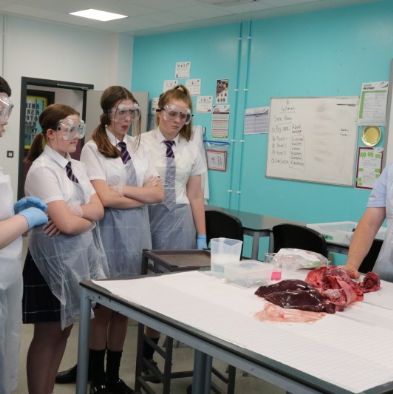 tsaScienceEnrichmentClub17