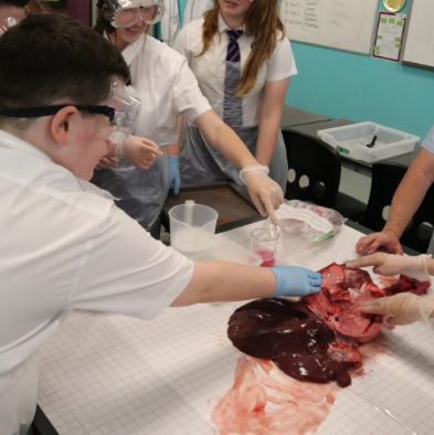 tsaScienceEnrichmentClub22
