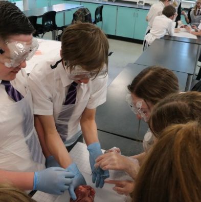 tsaScienceEnrichmentClub25