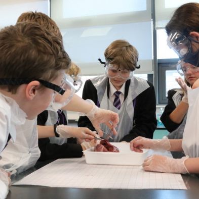 tsaScienceEnrichmentClub29