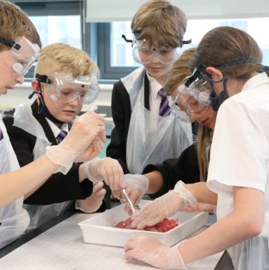 tsaScienceEnrichmentClub6