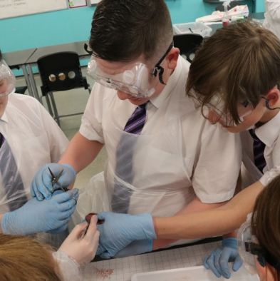 tsaScienceEnrichmentClub8