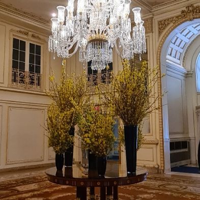 tsaNewYorkTrip181)