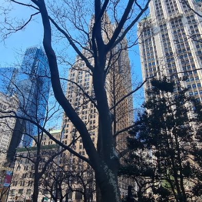 tsaNewYorkTrip76)