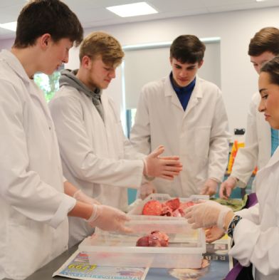 tsaYear12Biology43)1)