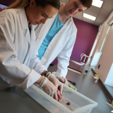 tsaYear12Biology53)1)
